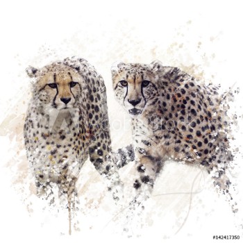 Bild på Two Cheetahs Watercolor